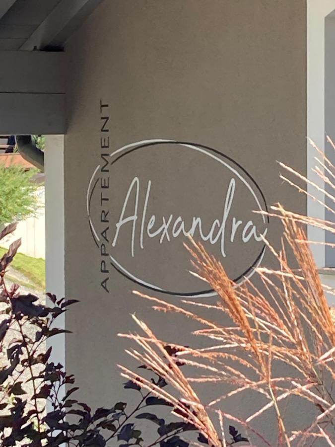 Appartement Alexandra Neukirchen am Großvenediger Kültér fotó