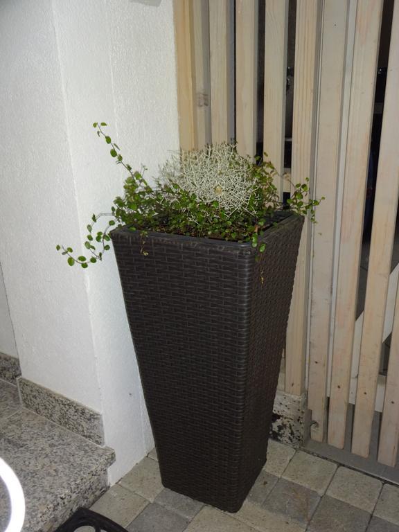 Appartement Alexandra Neukirchen am Großvenediger Szoba fotó